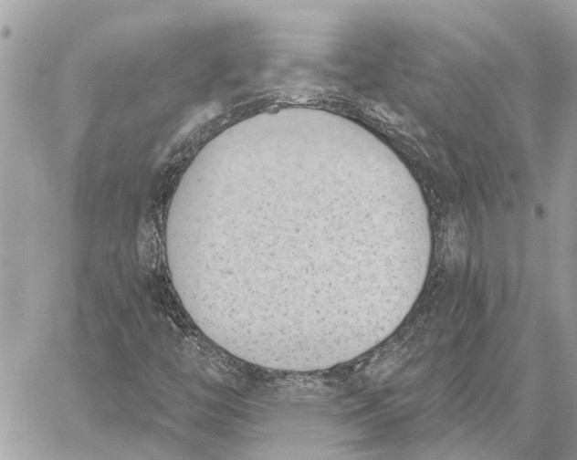 X0000059061446200510281620