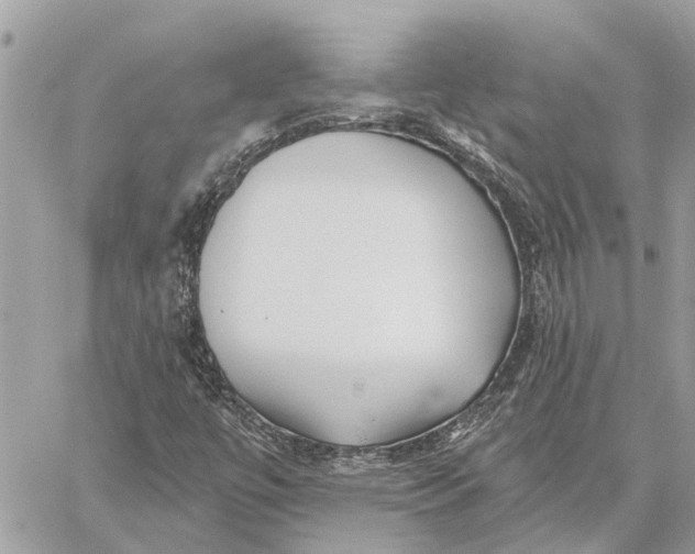 X0000059061447200510281620