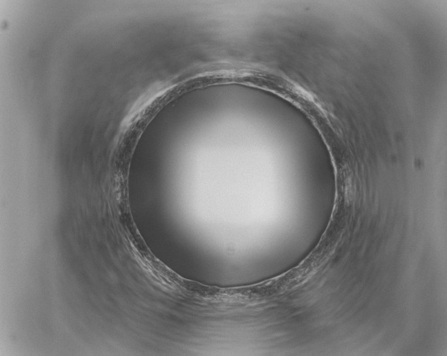 X0000059061448200510281620