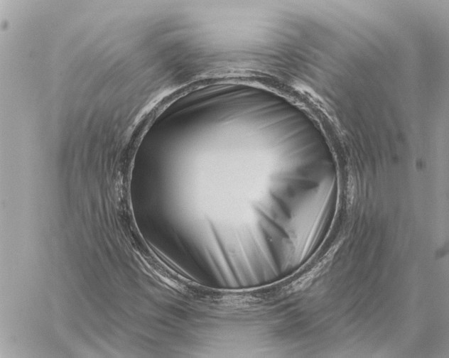 X0000059061449200510281620