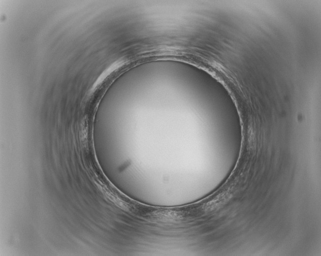 X0000059061450200510281620