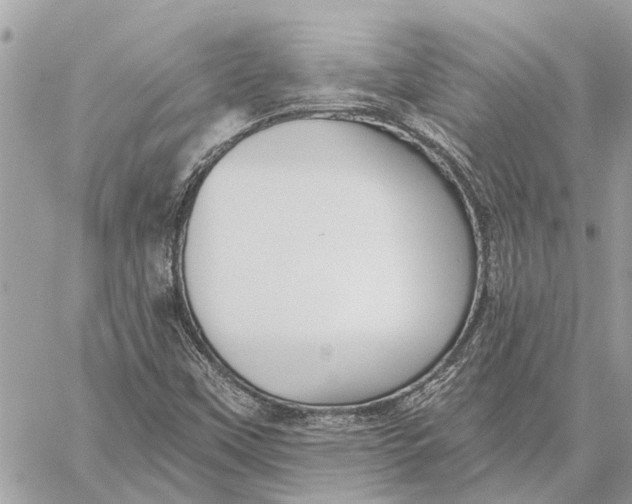 X0000059061451200510281620