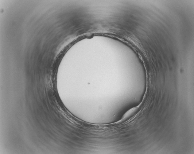 X0000059061452200510281620