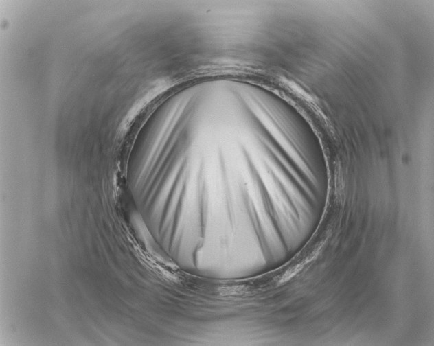 X0000059061453200510281620