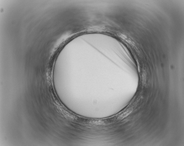 X0000059061454200510281620