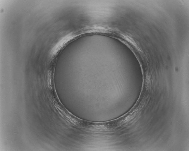 X0000059061455200510281620