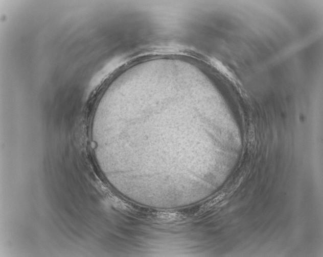 X0000059061456200510281620