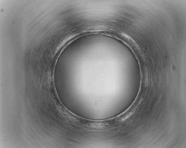 X0000059061457200510281620