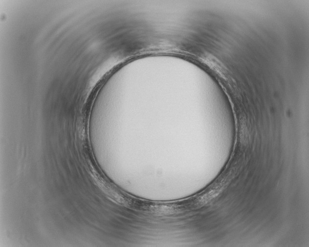 X0000059061458200510281620