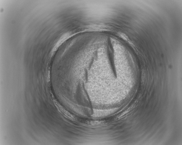 X0000059061459200510281620