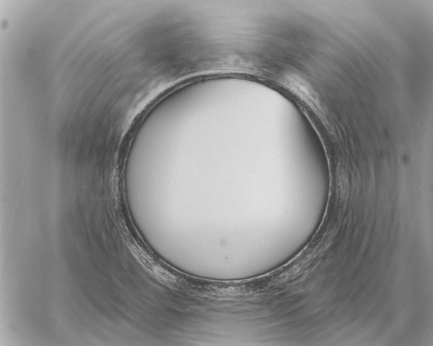 X0000059061460200510281620