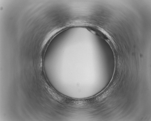 X0000059061461200510281620