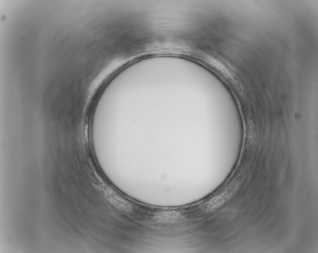 X0000059061462200510281620