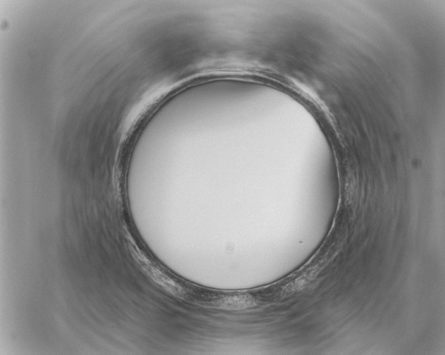 X0000059061464200510281620