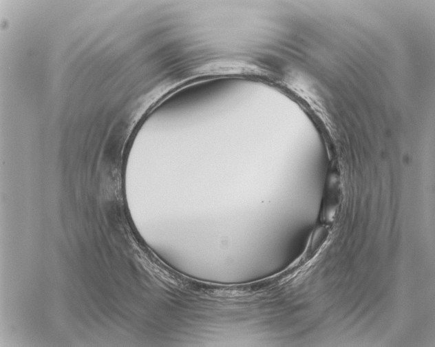 X0000059061465200510281620