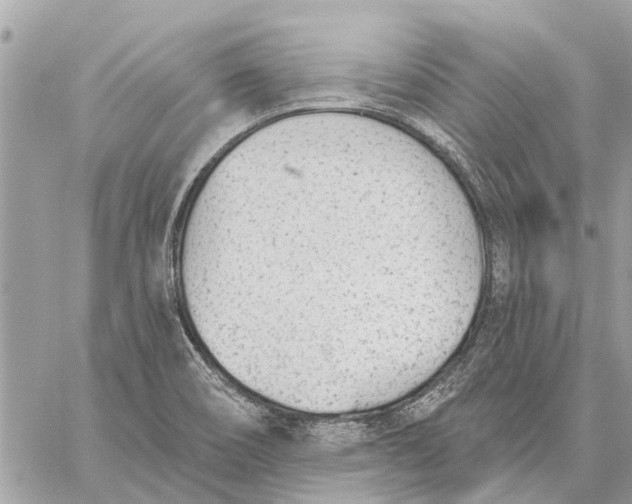 X0000059061466200510281620