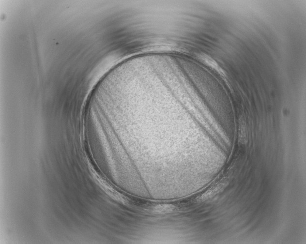 X0000059061467200510281620