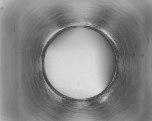 X0000059061468200510281620