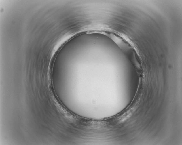 X0000059061469200510281620