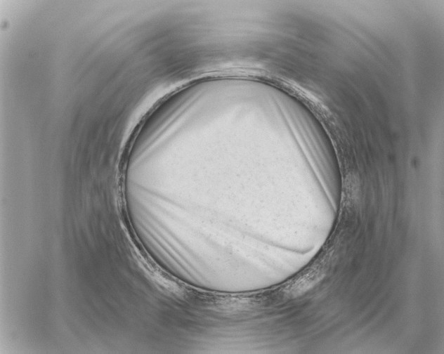 X0000059061470200510281620