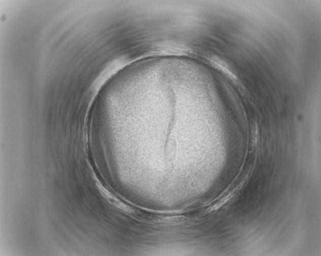 X0000059061471200510281620