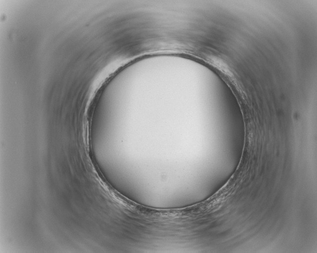 X0000059061472200510281620