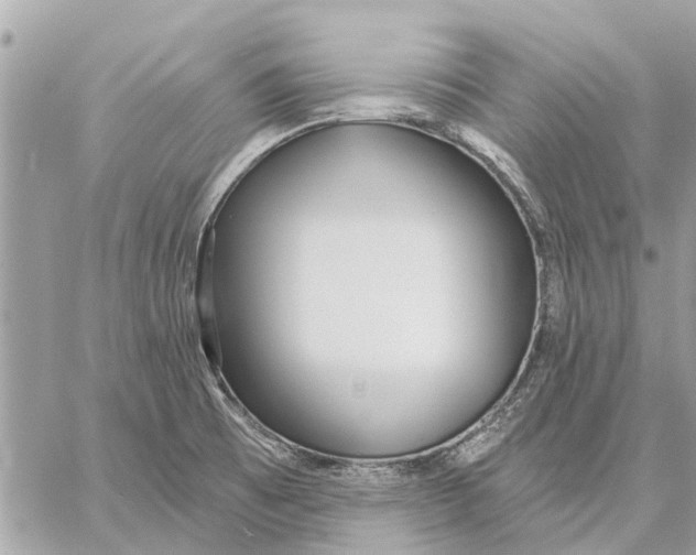 X0000059061473200510281620