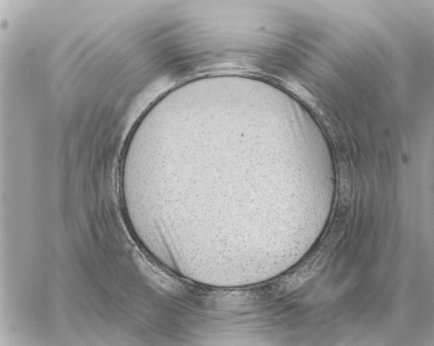 X0000059061474200510281620