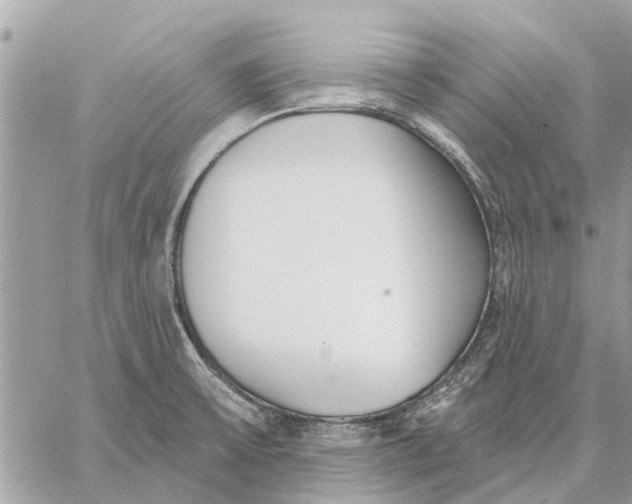 X0000059061475200510281620