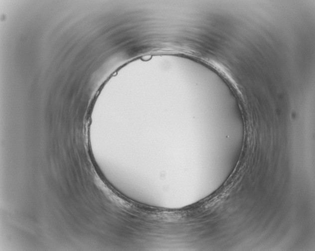 X0000059061476200510281620