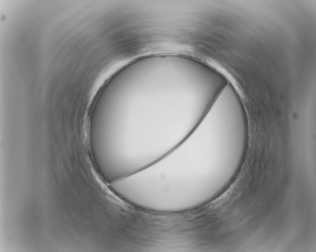 X0000059061477200510281620