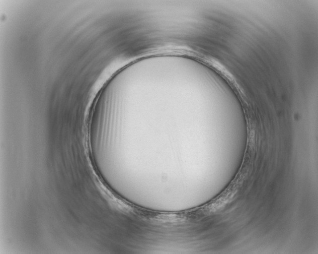 X0000059061478200510281620