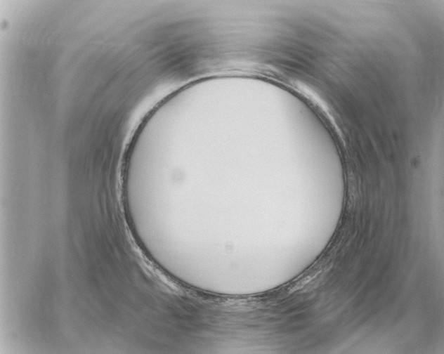 X0000059061480200510281620