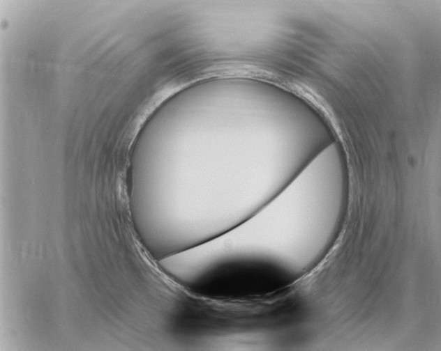 X0000059061481200510281620