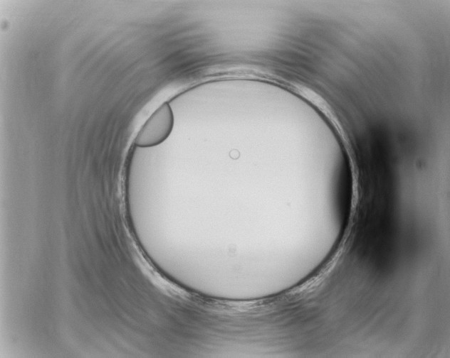 X0000059061482200510281620