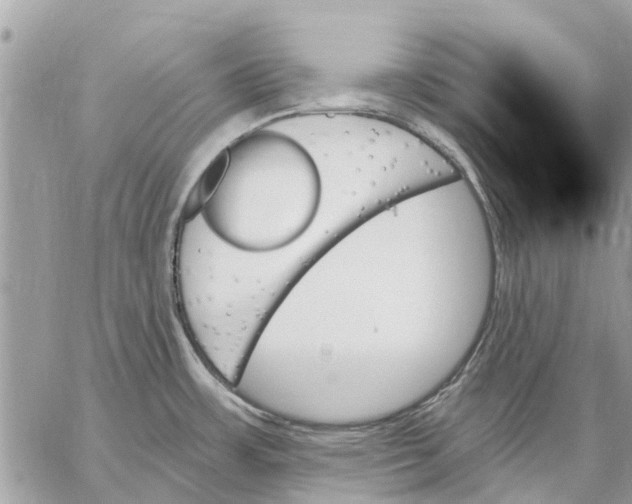 X0000059061483200510281620