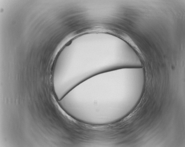 X0000059061484200510281620