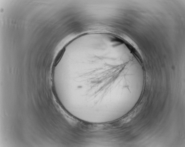 X0000059061485200510281620