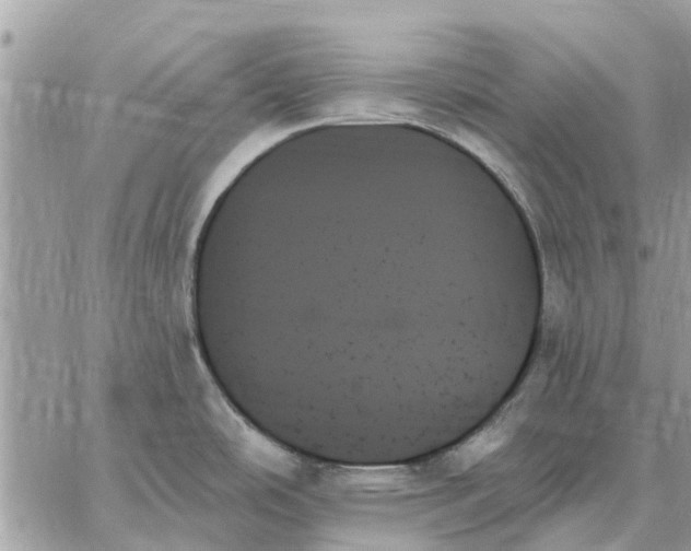 X0000059061486200510281620