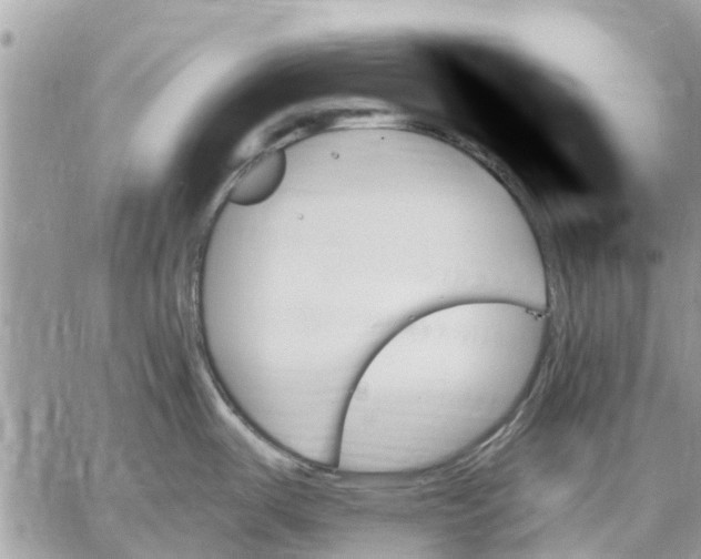 X0000059061487200510281620