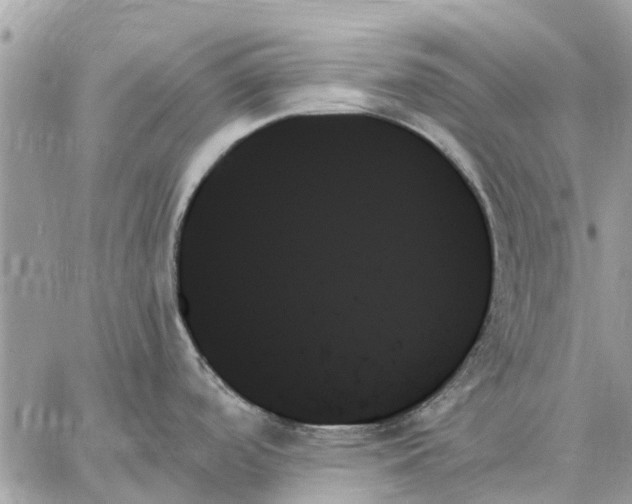 X0000059061488200510281620