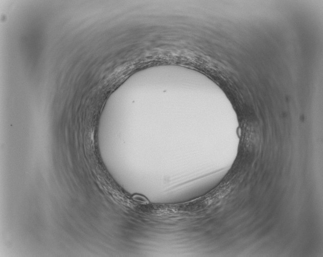 X0000059061489200510281619