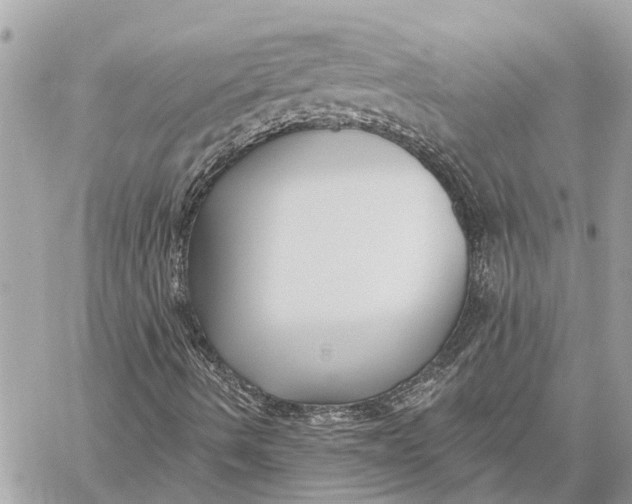 X0000059061490200510281619