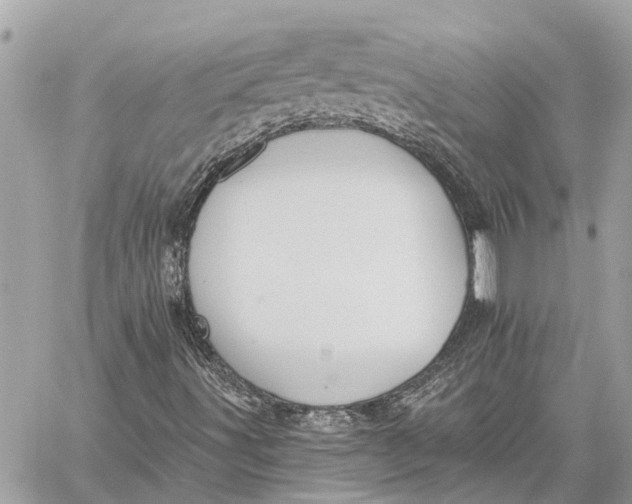 X0000059061491200510281619