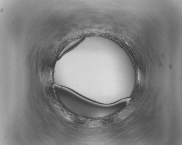 X0000059061492200510281619