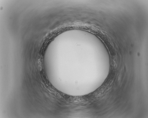 X0000059061493200510281619