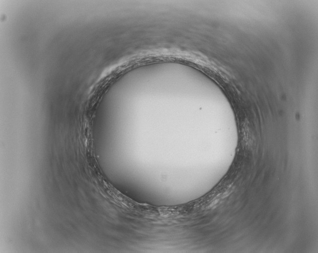 X0000059061494200510281619