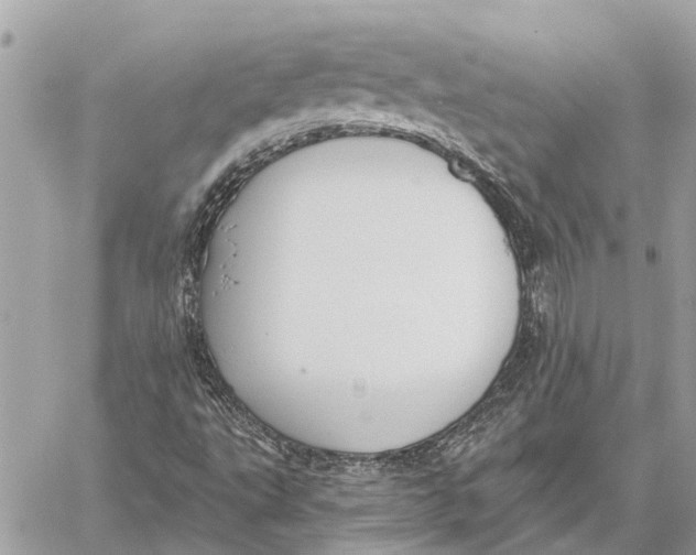 X0000059061495200510281619