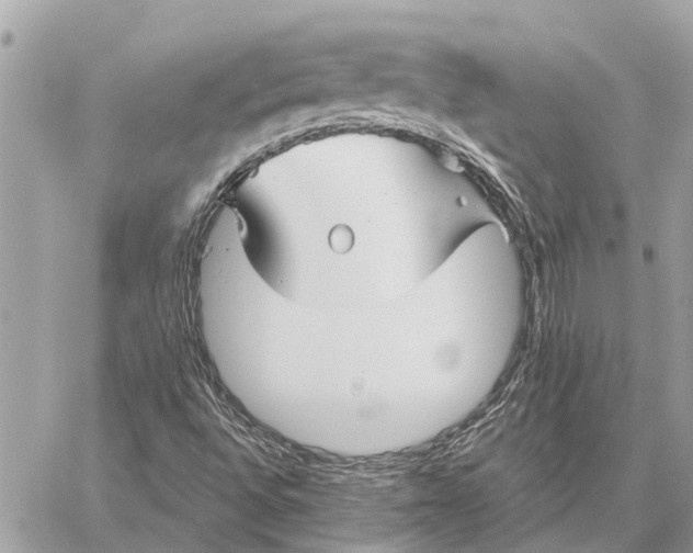 X0000059061496200510281619