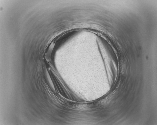 X0000059061497200510281619